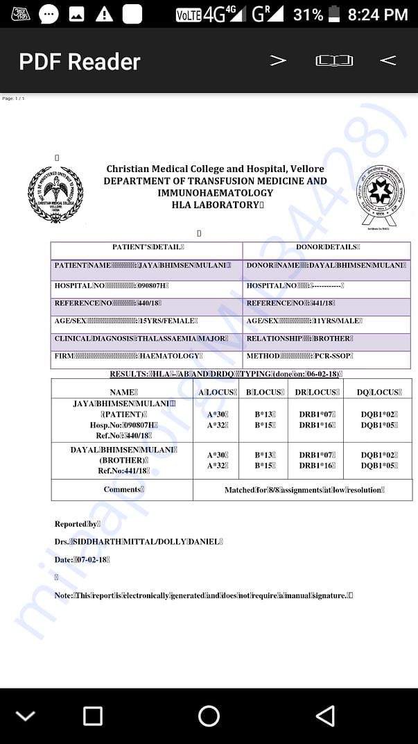 HLA report