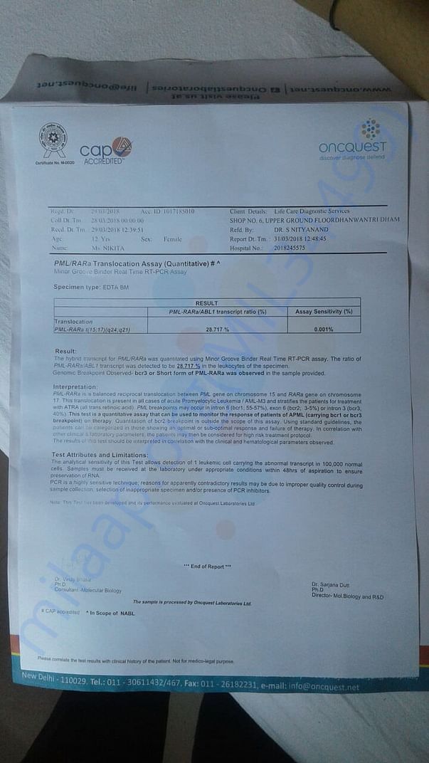Test report