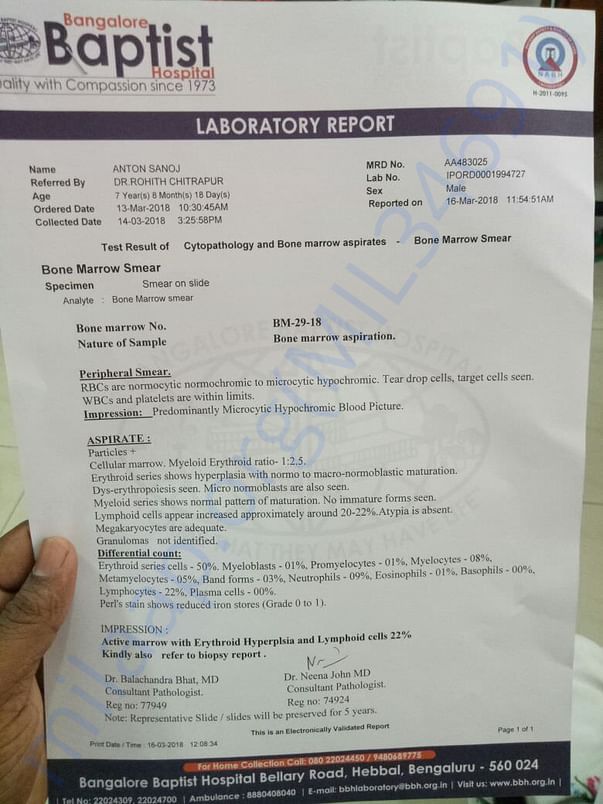 Reports