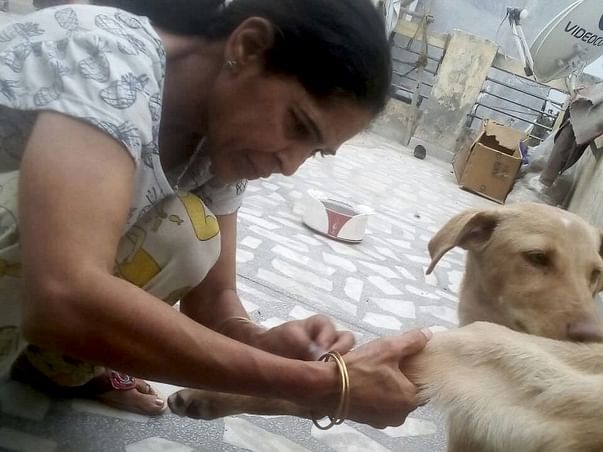 Help Anita Save Stray Dogs In Delhi