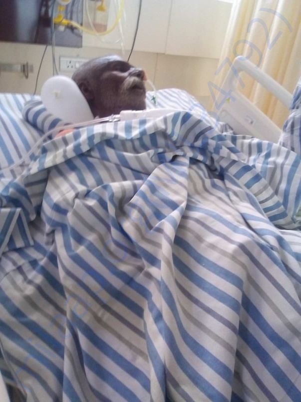 Today's Latest Pic In ICU
