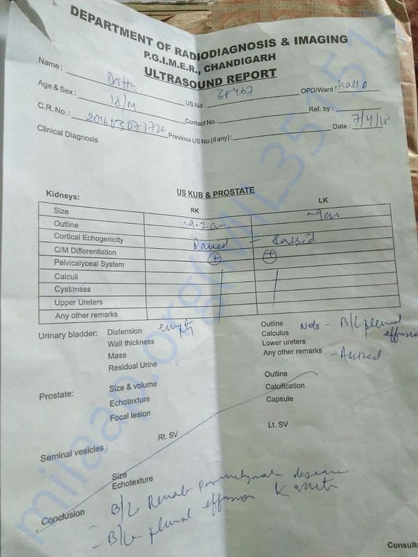 Ultrasound Report