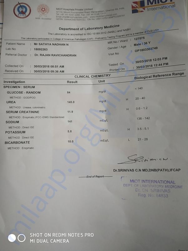 Report summary
