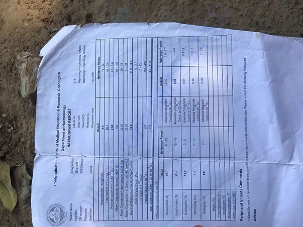 Medical reports issued by PGI