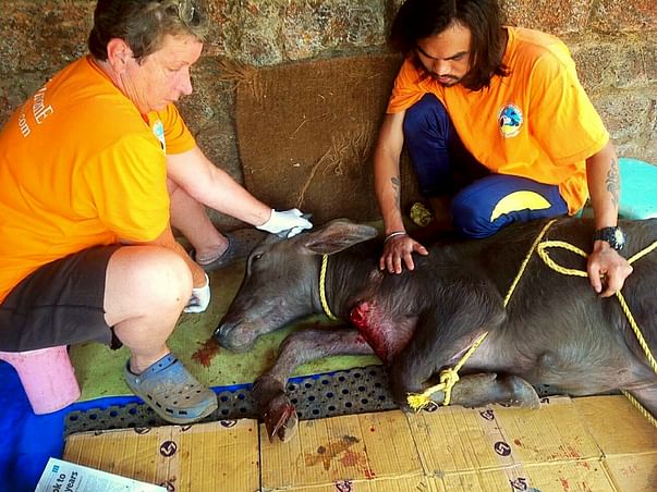 Help Angel heal from a severe wound