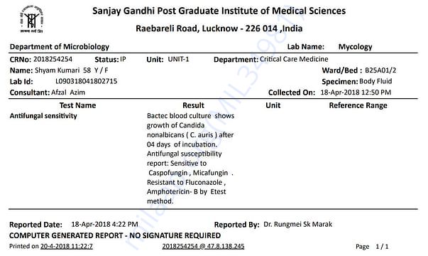 Blood Culture Report
