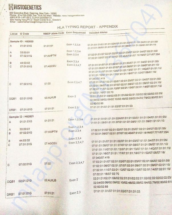 Medical Report -02