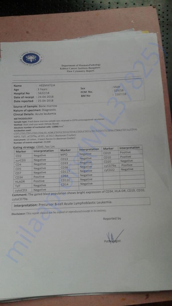 Lab reports