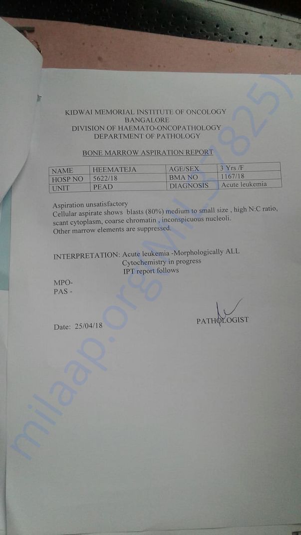 Lab reports