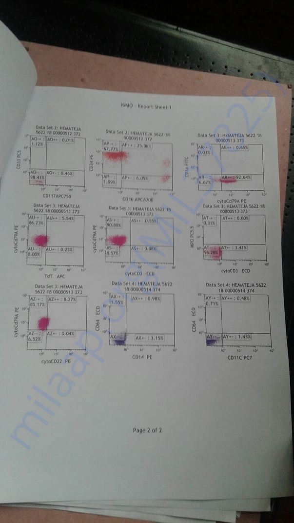 tests
