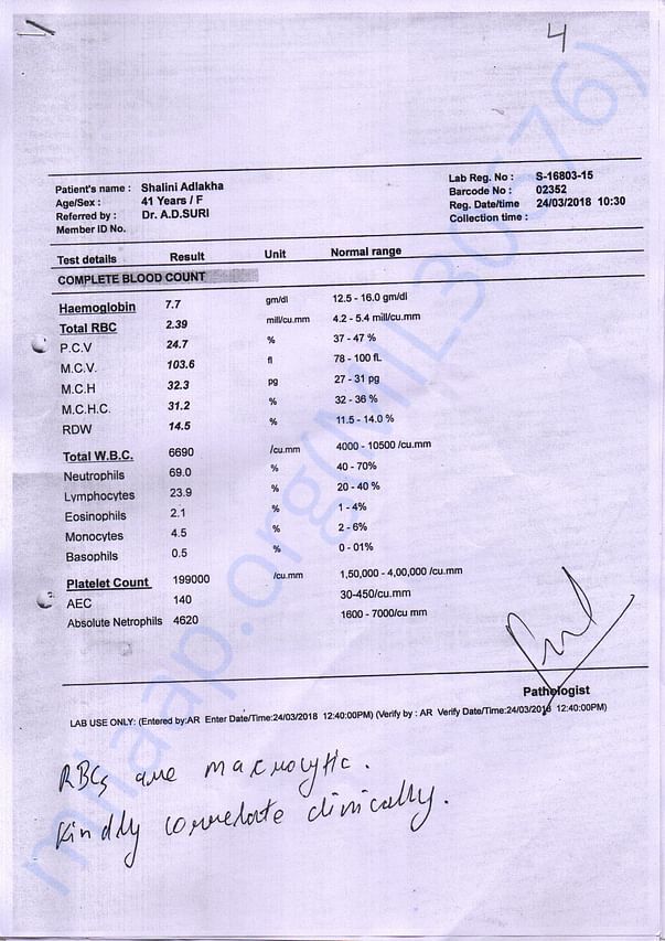 Report8