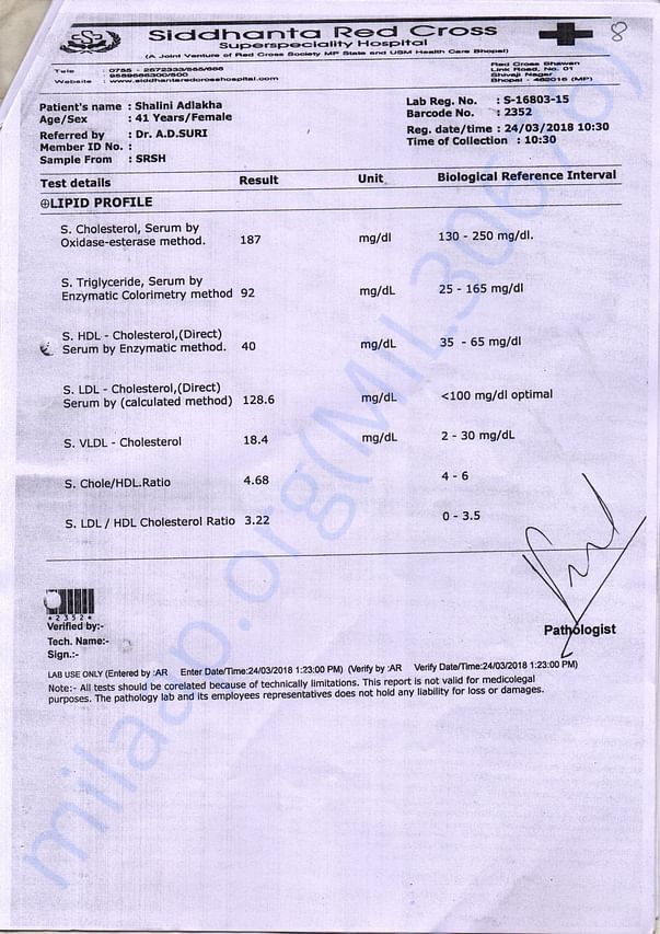 Report14