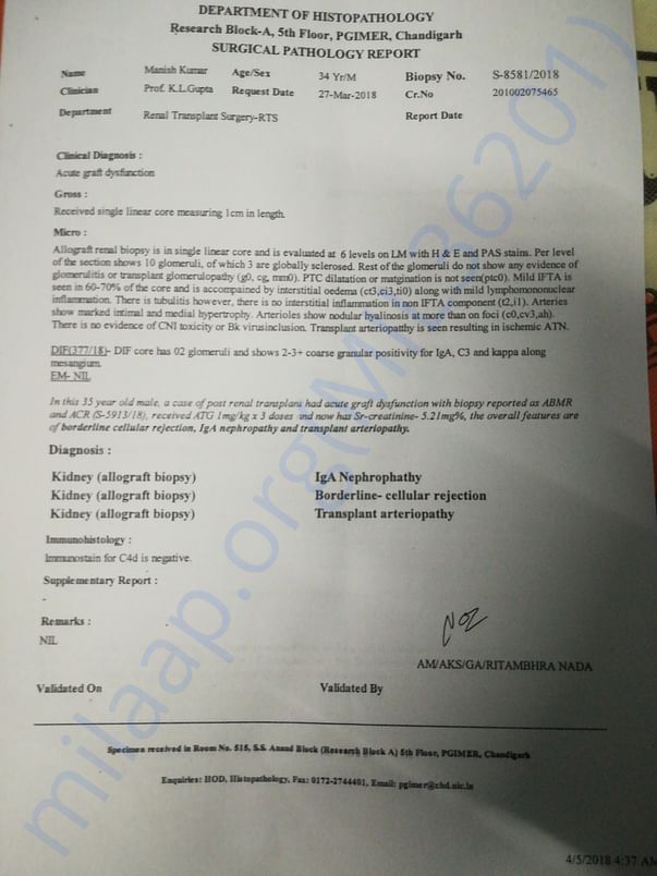 Kidney Biopsy Report