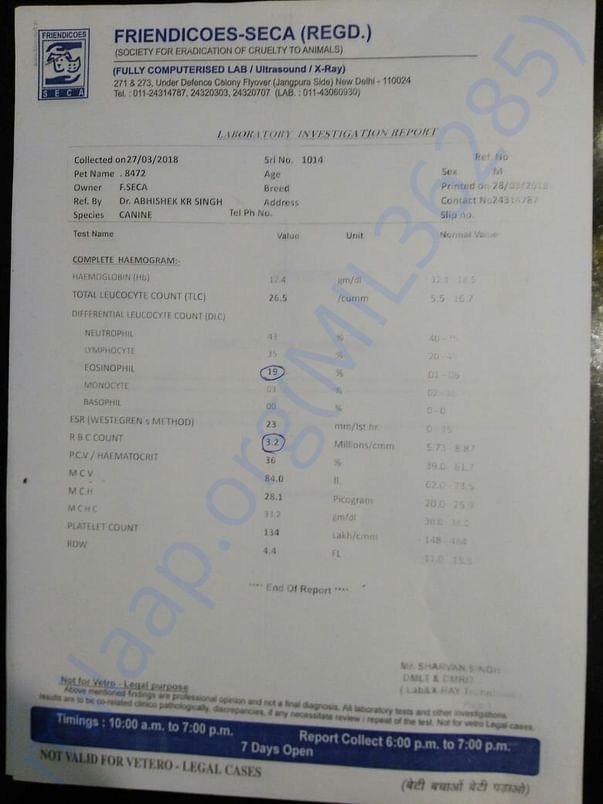 Blood report