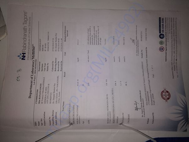 Lab report