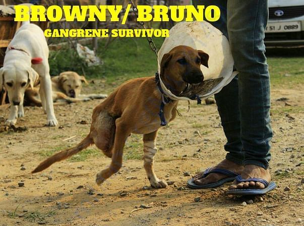 BRUNO IS HERE, GUYS!!