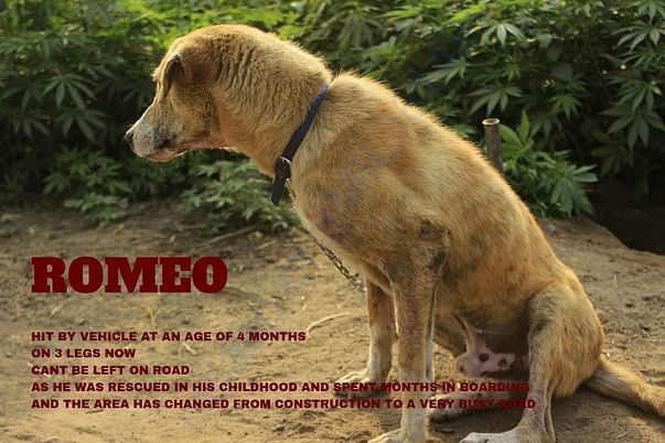 I'M Anti- ROMEO !!!