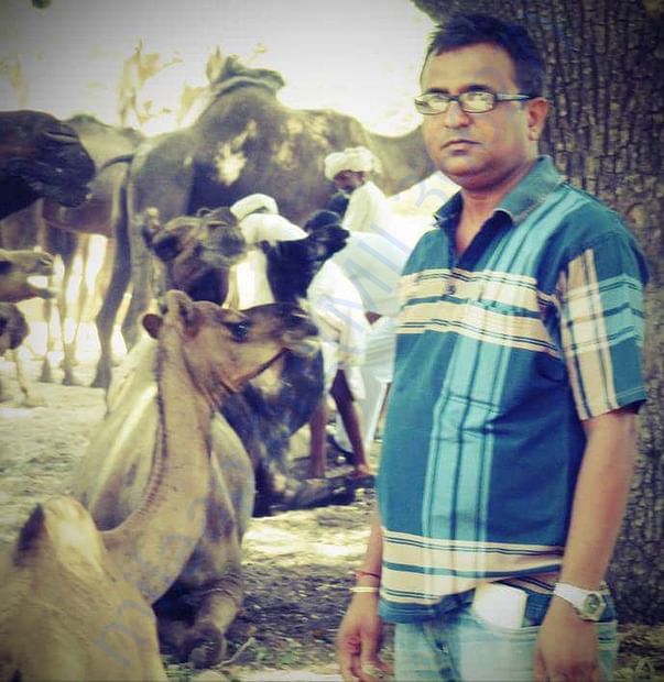 In Safe Hands, Now Pfa Sirohi care... All Rescue Camels Adopted by pfa