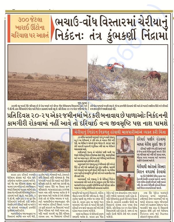 Gujarat Samachar 1st Feb 2018