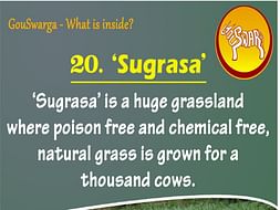 Sugrasa At GouSwarga
