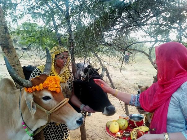 New Beginning for Kavita and Rajesh’s Dream – Shri Gau Rashtram