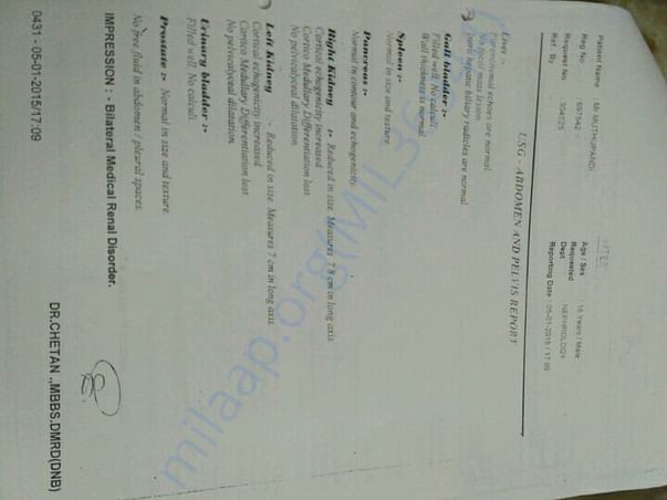 Report 2