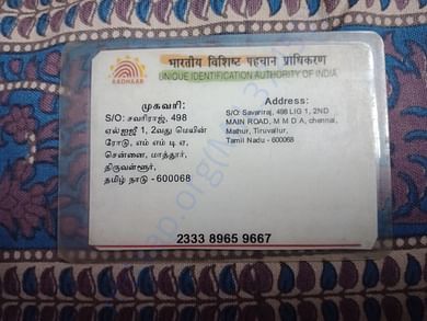 contact details