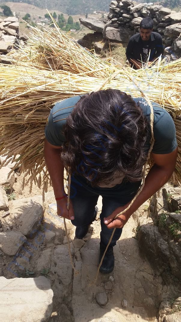 sharing the hardcore work that Himalayan farmers face day to day.