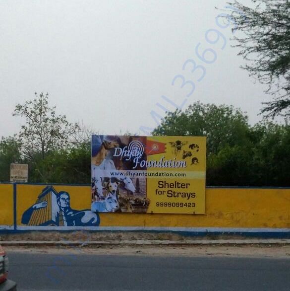 Dhyan Foundation's new stray animal shelter under construction