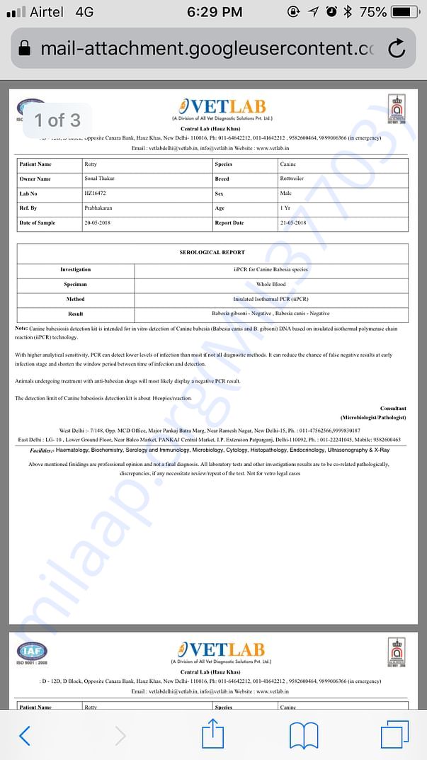 Report