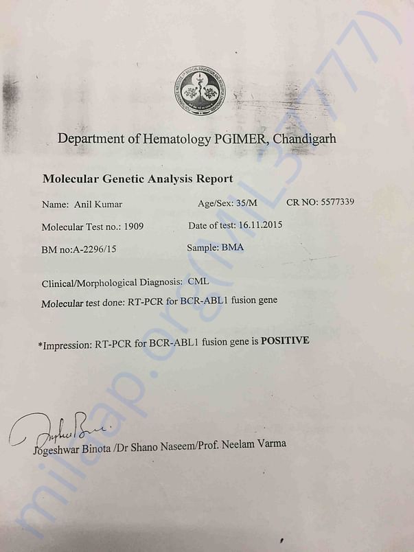 Molecular Genetic Analysis Report