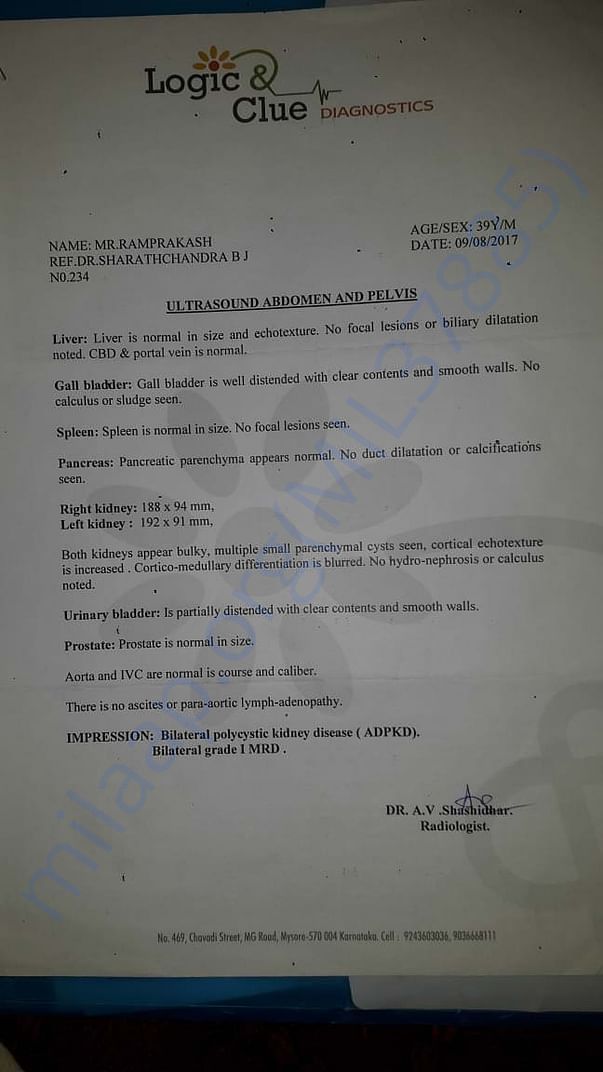 Lab reports