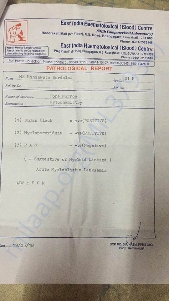 Report