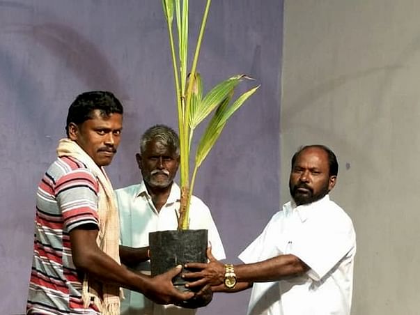 Project UYIUTHULIR- Planting A Tree.