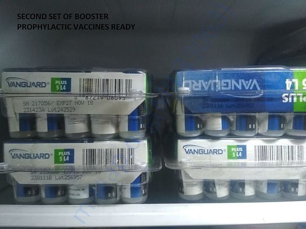 Prophylactic vaccines