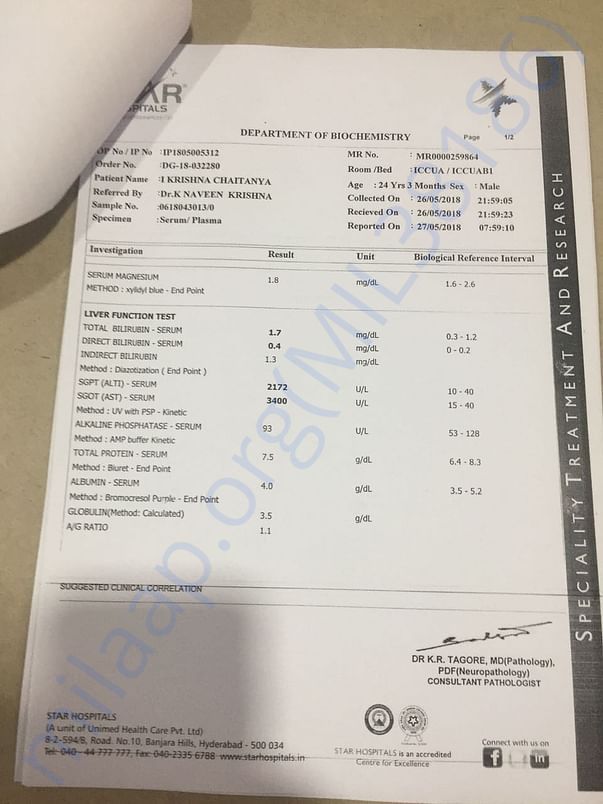 Report13