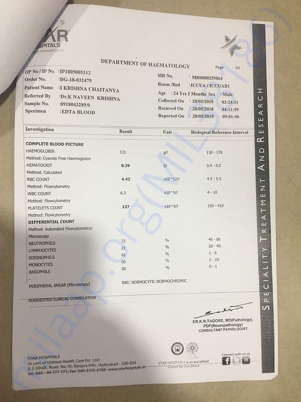 Report14
