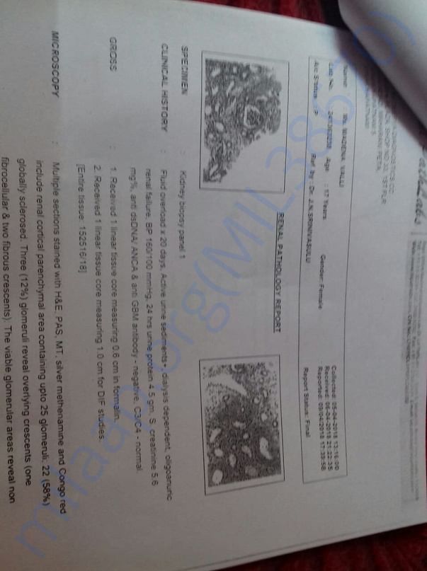 Pathology Report