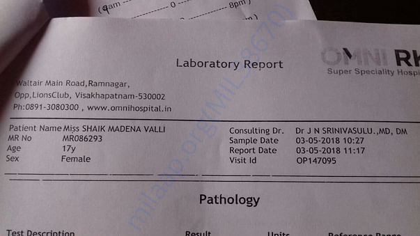 Reports