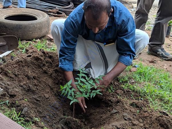 Planting tree in another Area
