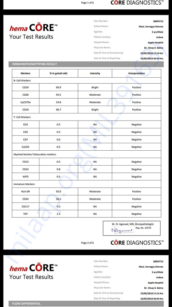 Test report 4