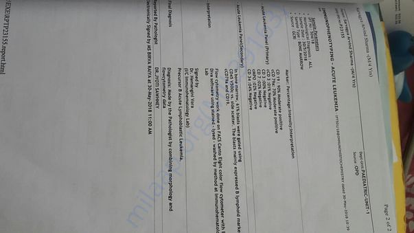 Test Report 5