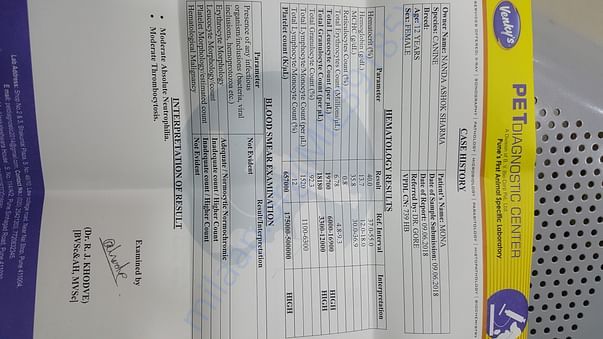 Blood Report 1