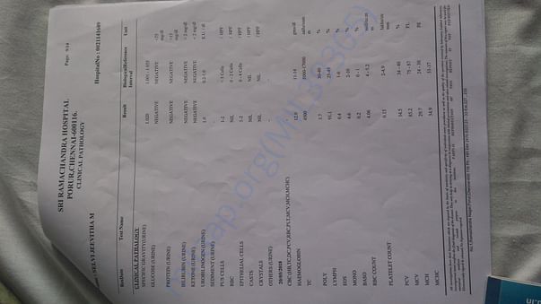 Medical test report6
