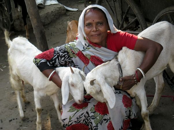 Support Families Headed By Women Living With And Affected By HIV