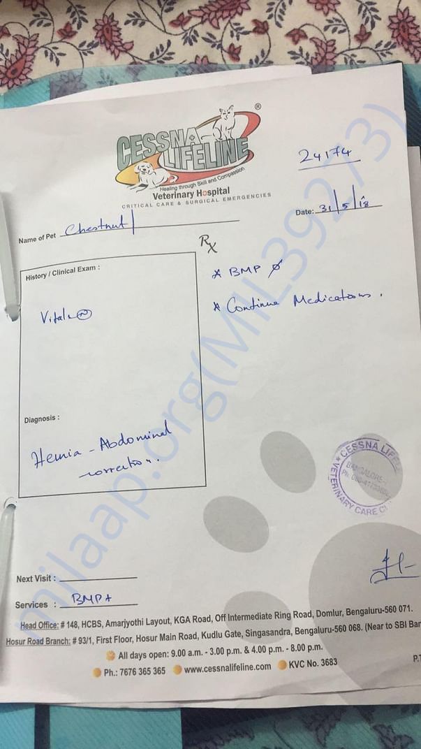 PRESCRIPTION 1