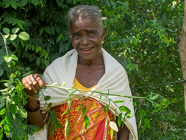 Lets create a livelihood for our Adivasis