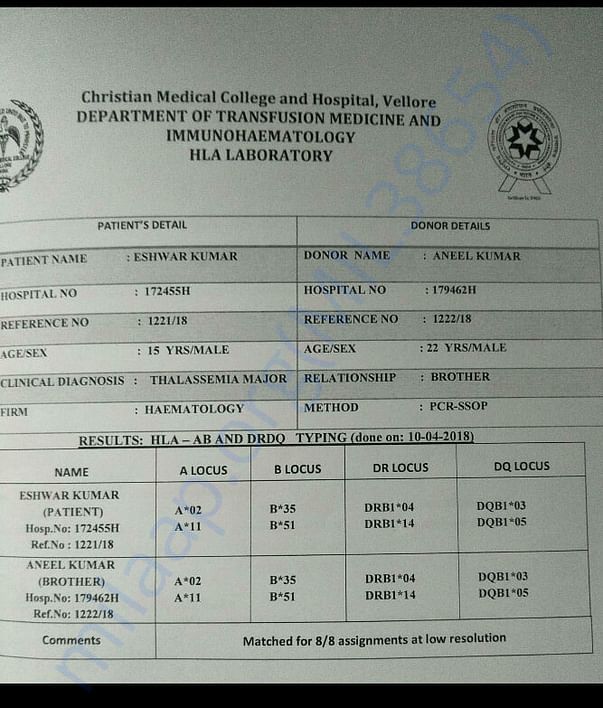 Patient's and donor's HLA A, B DRBQ reports