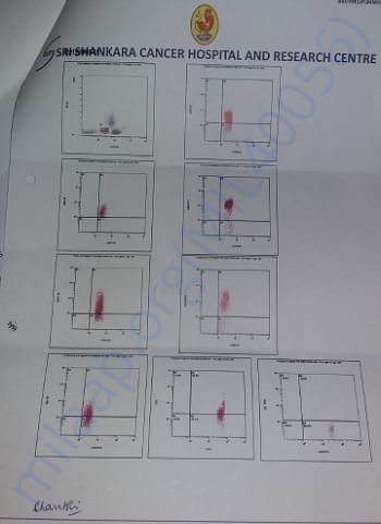 Test report 1 - Shankara Cancer foundation