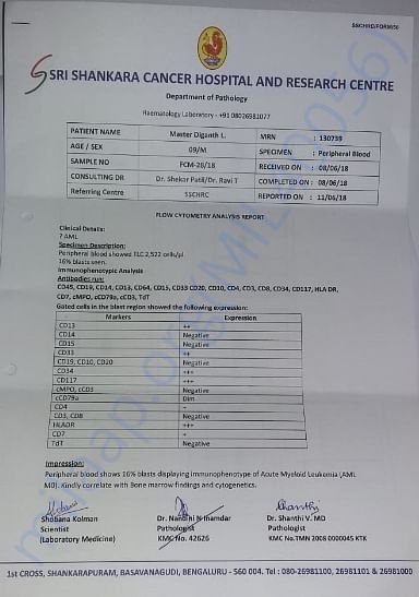 Flow Cytometry analysis report